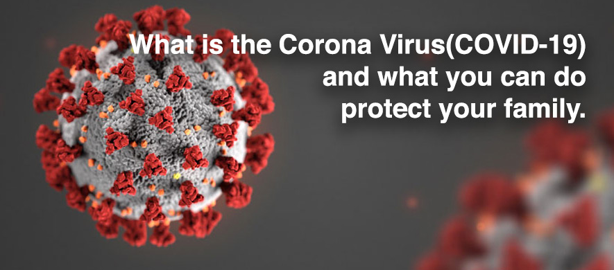 What is the Corona Virus (COVID-19)?